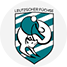 LTTV Leutzscher Füchse 1990