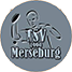 TSV 1990 Merseburg
